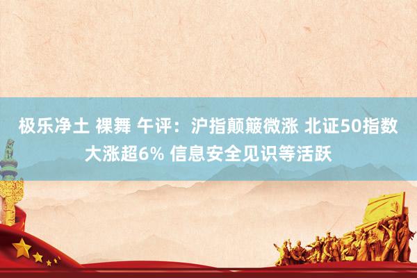极乐净土 裸舞 午评：沪指颠簸微涨 北证50指数大涨超6% 信息安全见识等活跃