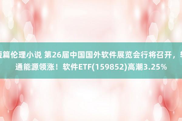 短篇伦理小说 第26届中国国外软件展览会行将召开，软通能源领涨！软件ETF(159852)高潮3.25%