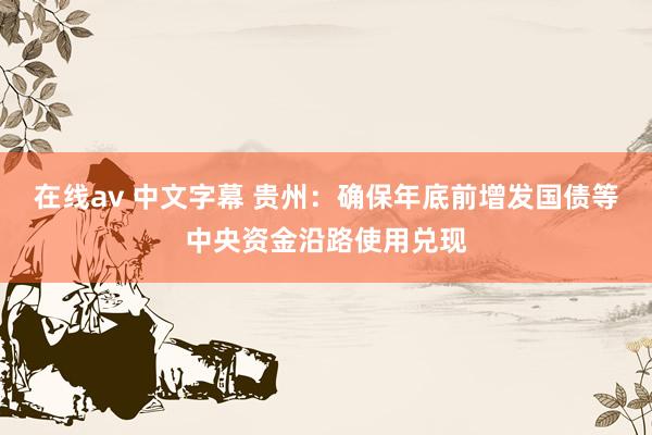 在线av 中文字幕 贵州：确保年底前增发国债等中央资金沿路使用兑现
